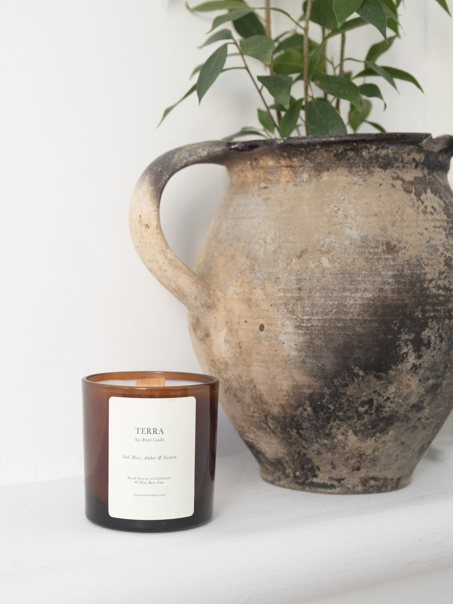A Terra Glass Candle sits next to a potted plant on a shelf.
